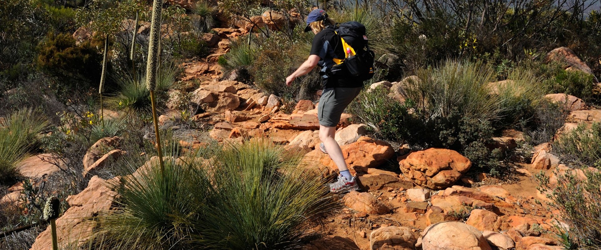 Exploring Flinders Ranges National Park: Eco-Friendly Hiking Adventures