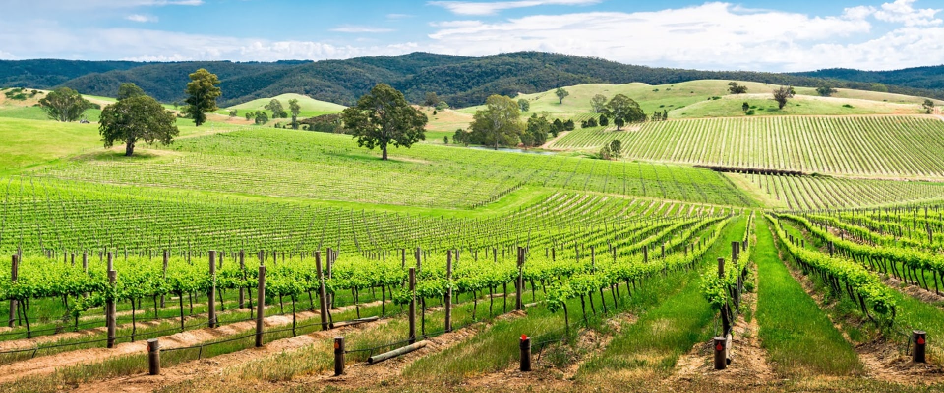 Exploring Sustainable Farms and Wineries in Australia