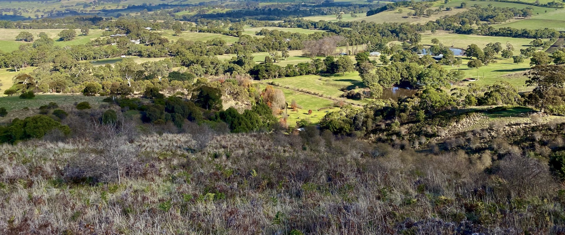 Exploring the Fleurieu Peninsula: A Conservationist's Paradise