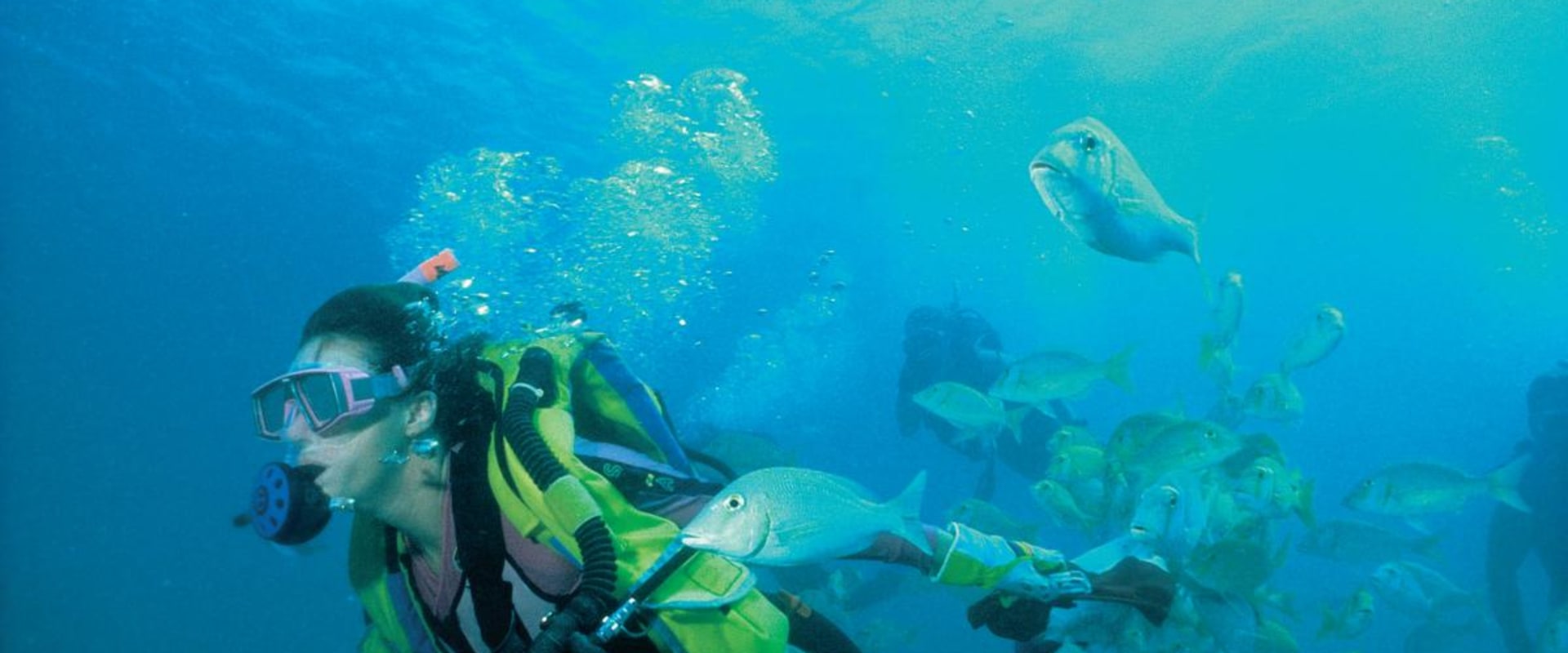 Exploring the Beauty of Ningaloo Marine Park through Diving Trips