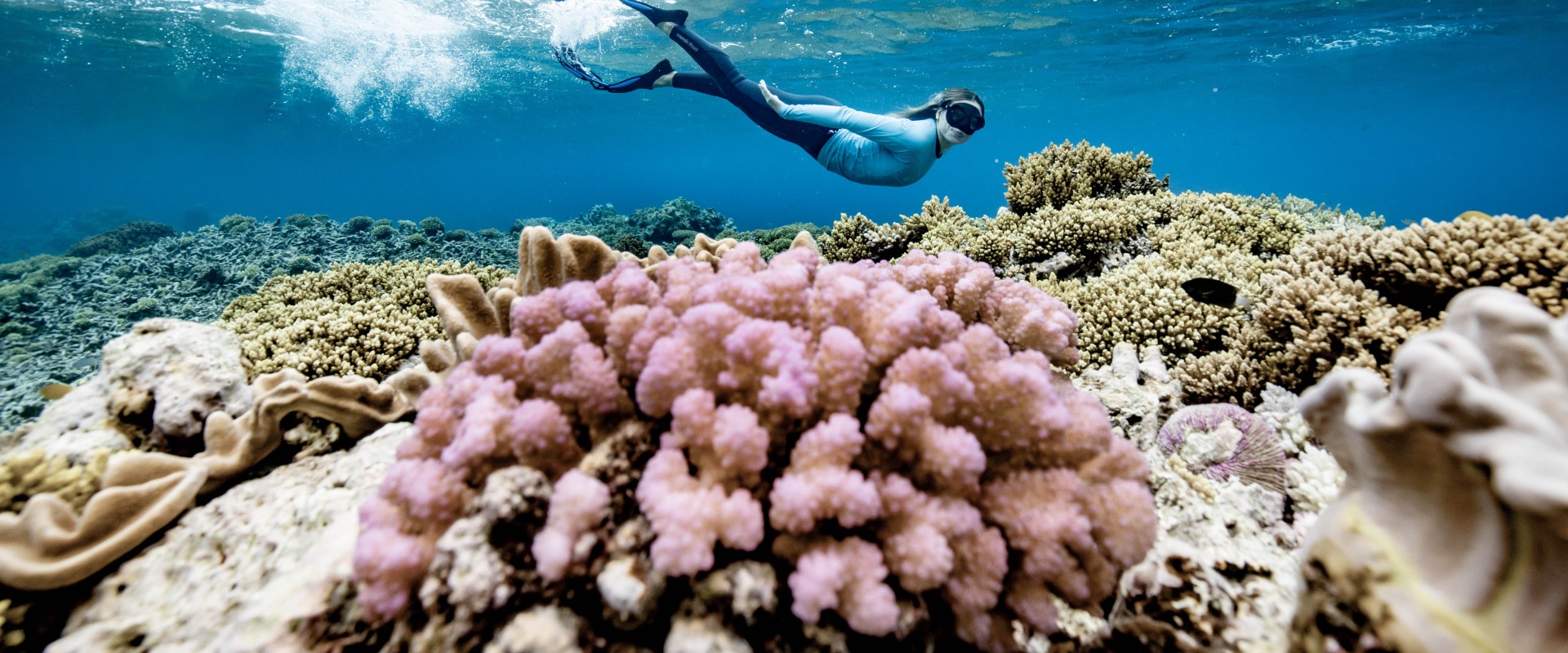 Protecting the Great Barrier Reef: Eco-Tourism and Nature Conservation in Australia