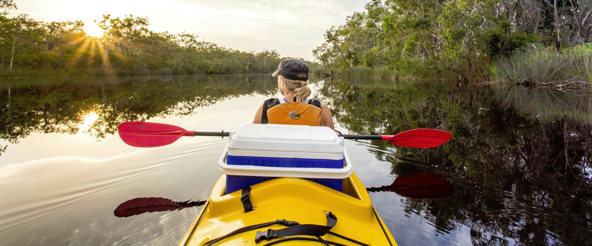 Discovering the Beauty of Kayaking in Noosa Everglades National Park