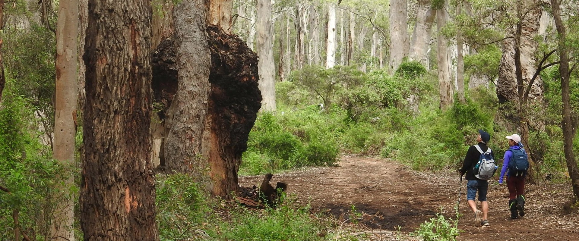 Exploring Sustainable Eco-Tourism in Margaret River