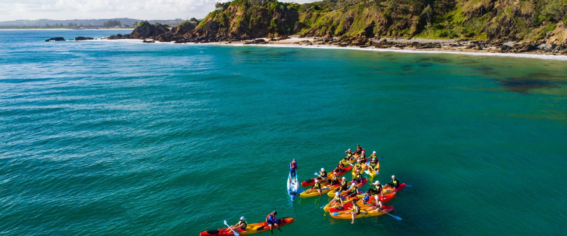 Unleash Your Inner Adventurer: Dolphin-Watching Tours in Byron Bay