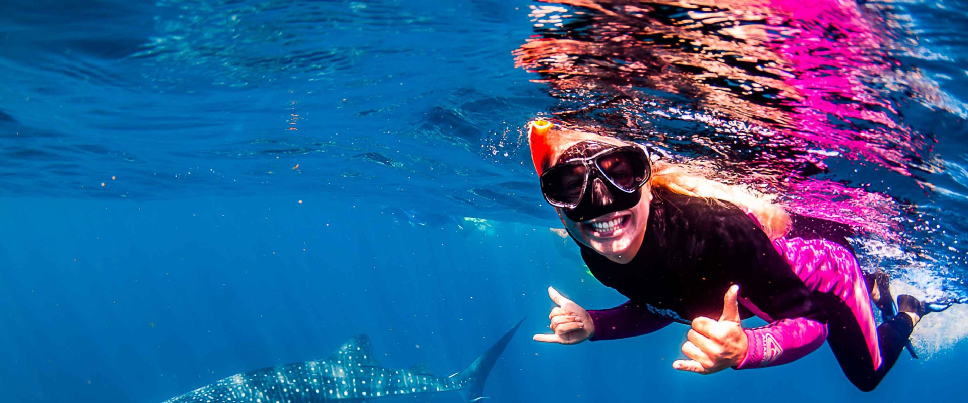 Swimming with Whale Sharks in Western Australia: A Unique and Sustainable Eco-Adventure