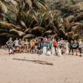 Participating in Beach Clean-Ups: A Sustainable and Responsible Eco-Tourism Activity in Australia