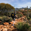 Exploring Flinders Ranges National Park: Eco-Friendly Hiking Adventures