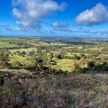 Exploring the Fleurieu Peninsula: A Conservationist's Paradise