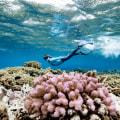 Protecting the Great Barrier Reef: Eco-Tourism and Nature Conservation in Australia