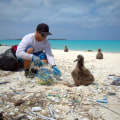 Marine Debris Clean-Up Projects: A Sustainable and Responsible Eco-Tourism Option in Australia