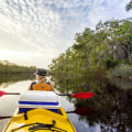 Discovering the Beauty of Kayaking in Noosa Everglades National Park