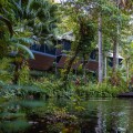 Eco-Lodges in the Daintree Rainforest: Sustainable and Responsible Travel Options