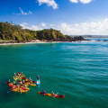 Unleash Your Inner Adventurer: Dolphin-Watching Tours in Byron Bay