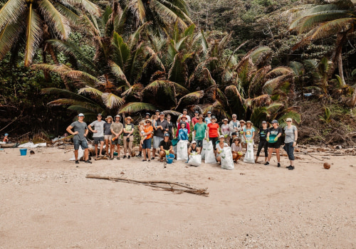 Participating in Beach Clean-Ups: A Sustainable and Responsible Eco-Tourism Activity in Australia