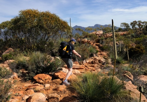 Exploring Flinders Ranges National Park: Eco-Friendly Hiking Adventures