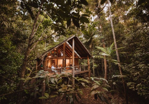 Discover the Beauty of Treehouse Accommodations in Queensland