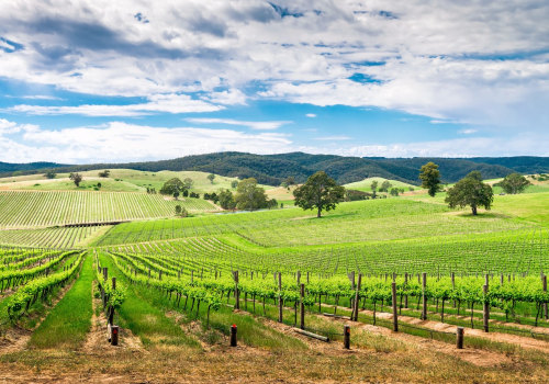 Exploring Sustainable Farms and Wineries in Australia