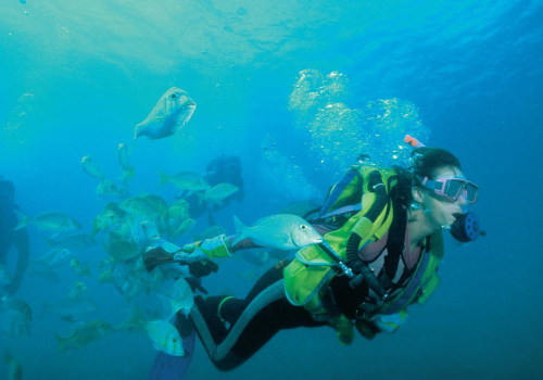 Exploring the Beauty of Ningaloo Marine Park through Diving Trips