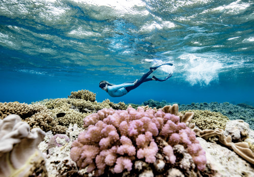 Protecting the Great Barrier Reef: Eco-Tourism and Nature Conservation in Australia