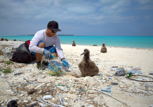 Marine Debris Clean-Up Projects: A Sustainable and Responsible Eco-Tourism Option in Australia