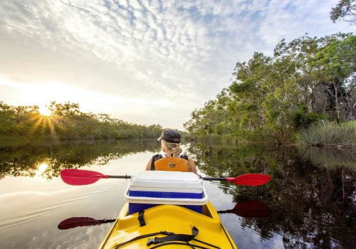 Discovering the Beauty of Kayaking in Noosa Everglades National Park