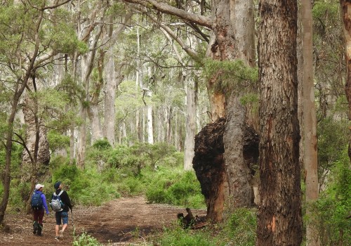 Exploring Sustainable Eco-Tourism in Margaret River