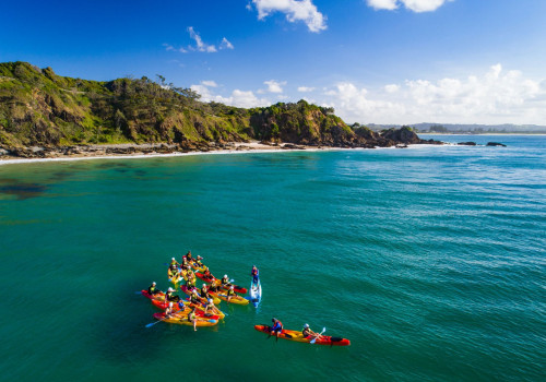 Unleash Your Inner Adventurer: Dolphin-Watching Tours in Byron Bay